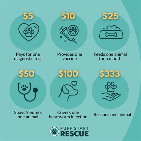 3 ways to help rescue animals on Give to the Max Day