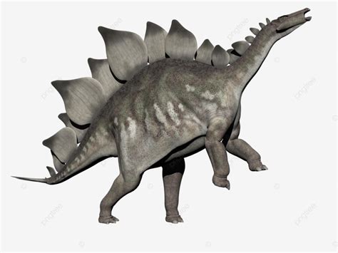 Dinosaurio Estegosaurio Dinosaurio De Renderizado 3d PNG Dibujos