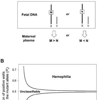 Illustration of the experimental steps for digital RMD analysis. For ... 
