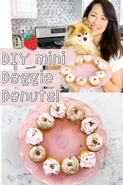 Diy Dog Donut Dog Treats Strawberry Doggie Donuts Treat Recipe