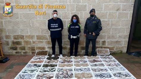 Venditori Abusivi Al Mercato Ittico Di Molfetta Sequestrati Chili