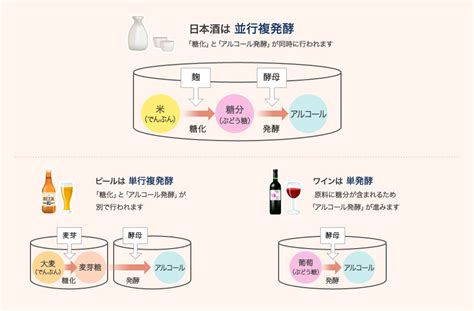 日本酒ができるまで～「日本酒の製造工程」｜オエノングループ