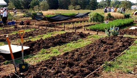 Agricultura Biointensiva qué es técnicas del método Biointensivo de