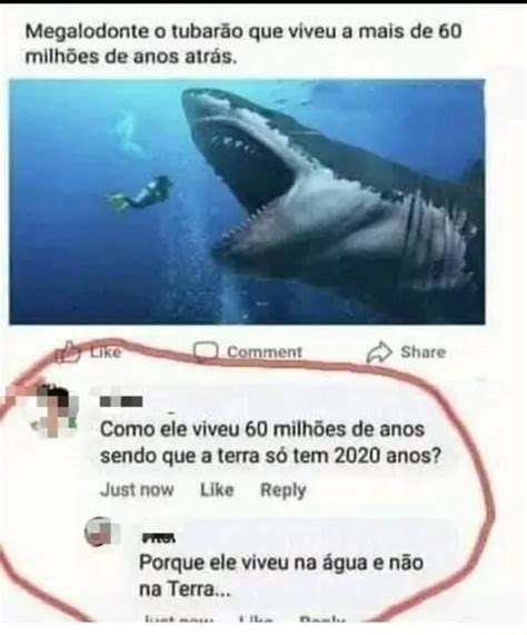 Megalodonte O Tubarão Que Viveu A Mais De 60 Milhões De Anos Atrás