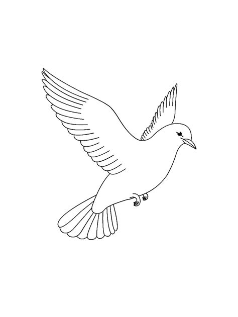 Dove coloring page