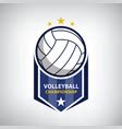 Volleyball Logo On The Background Of Multi Vector Image