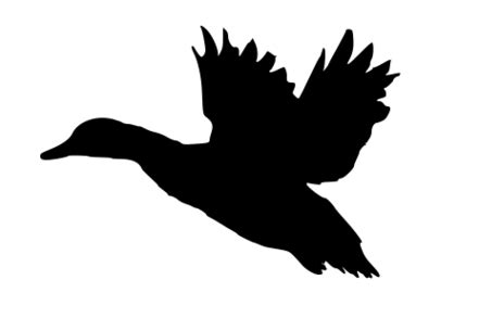 Free Duck Family Silhouette, Download Free Duck Family Silhouette png ...