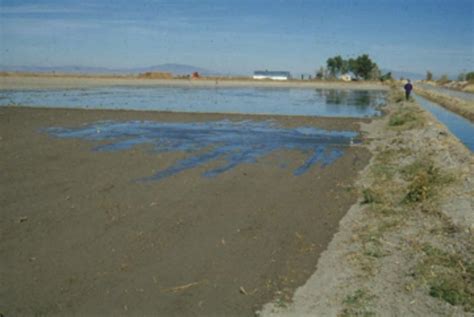 Surface Irrigation Systems | Oklahoma State University