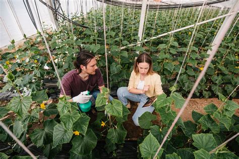 Environnement les métiers d avenir des secteurs du numérique de l