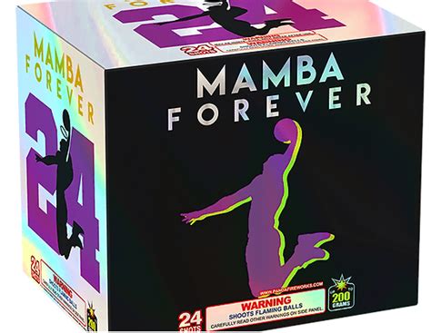 Mamba Forever Fantasy Fireworks Hinsdale Nh Seabrook Nh