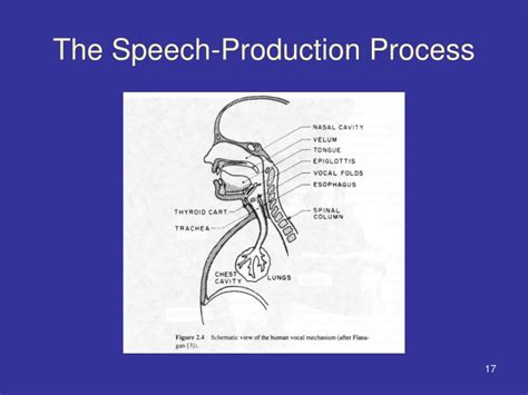 Ppt The Process Of Speech Production And Perception In Human Beings