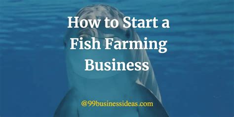 Fish Farming Business Plan How To Start A Fish Farm In Steps