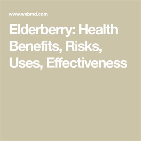 Elderberry Health Benefits Risks Uses Effectiveness