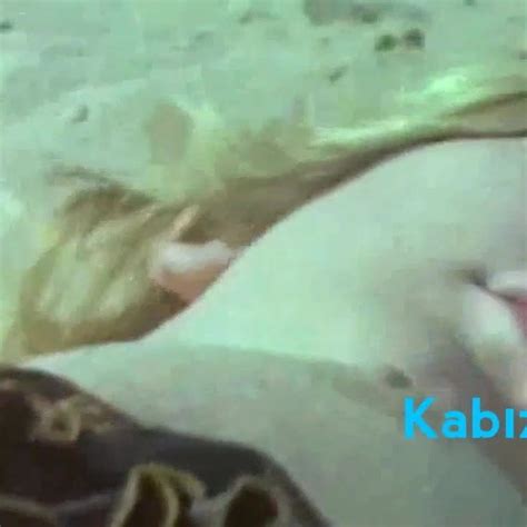 Sibel Gokce Nin Memelerini Yadigar Ejder Emiyo Hd Porn E Xhamster