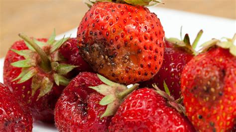 Delicious Things To Do With Overripe Strawberries Tried Proven