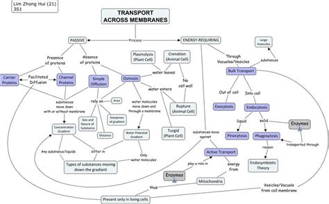 Membrane Concept Map