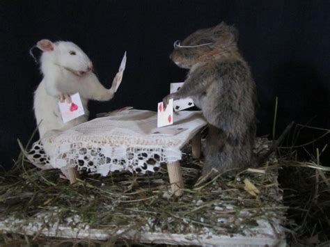 Taxidermy - cabinet of curiosity - two rats playing cards - Rattus sp - 15 cm - Catawiki