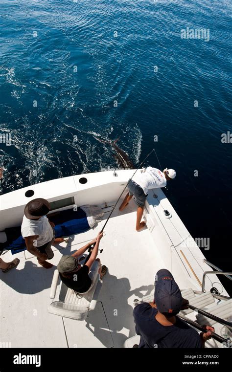 Mexico Puerto Vallarta Deep Sea Sportfishing For Sailfish Puerto