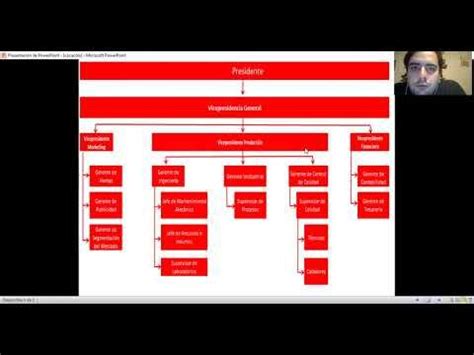 Organigrama De Coca Cola Funciones Y Ejemplos Coca Cola