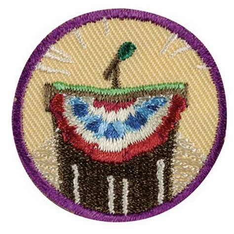 Inside Government Badge Girl Scout Wiki Fandom