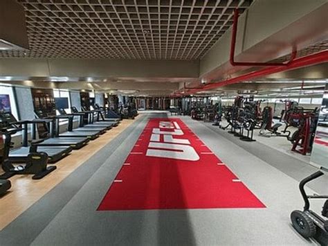 Ufc Gym Unveils Luxury Fitness At Jaipur Theprint Anipressreleases