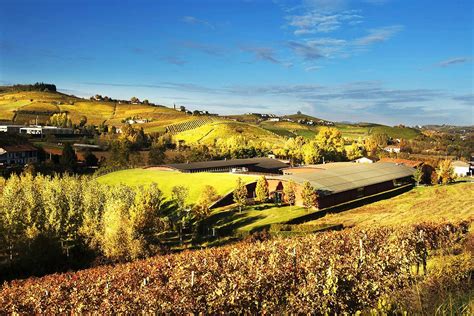 Cantina Vite Colte A Barolo Consorzio Alta Langa Docg