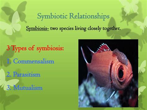 PPT - Symbiotic Relationships PowerPoint Presentation - ID:6702141