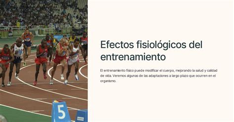 Efectos fisiológicos del entrenamiento