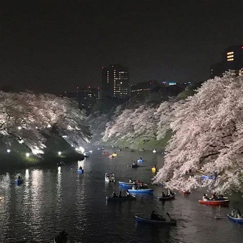 Tokyo nights | Scenery, City aesthetic, Night aesthetic