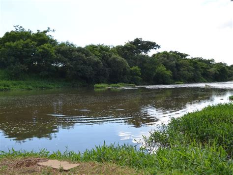 G1 Jovem morre afogado após nadar no Rio Corumbataí em Piracicaba