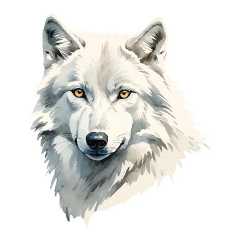 Premium Vector White Wolf Hand Drawn Watercolor Painting Illustration