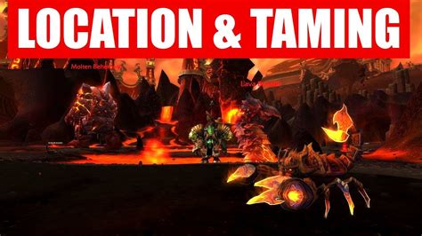 🔝 725 New Pet Lost Emberspit Scorpion Location And Taming Youtube