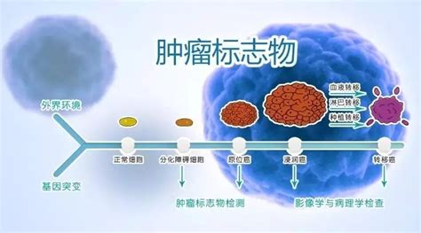 查出肿瘤标志物高，就一定是患癌吗？