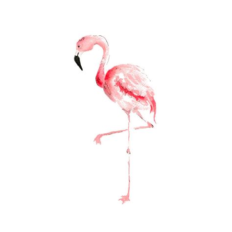 Pink Flamingo Watercolor Painting Print Flamingo Wall Art Etsy