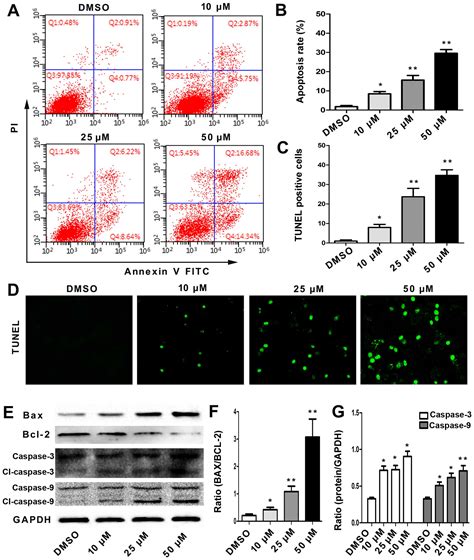 Angelicin Inhibits Human Lung Carcinoma A549 Cell Growth And Migration