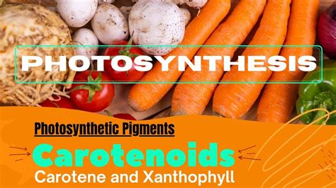 Carotene Pigment