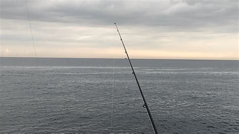 紫菜坪 母光釣一波 鐵板 磯釣 沉底 天亞 岸拋 米諾 路亞 軟蟲 Fishing 游刃有魚 Youtube