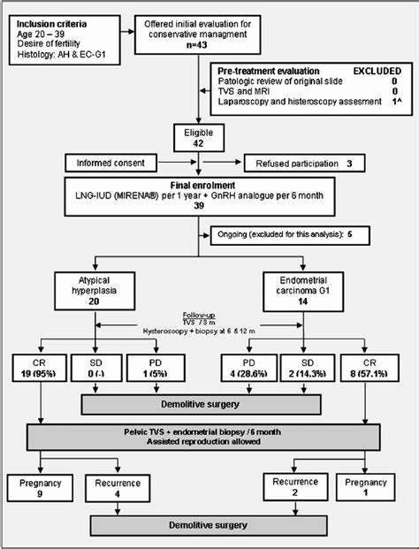 Graphic Design AEH Atypical Endometrial Hyperplasia EC Endometrial