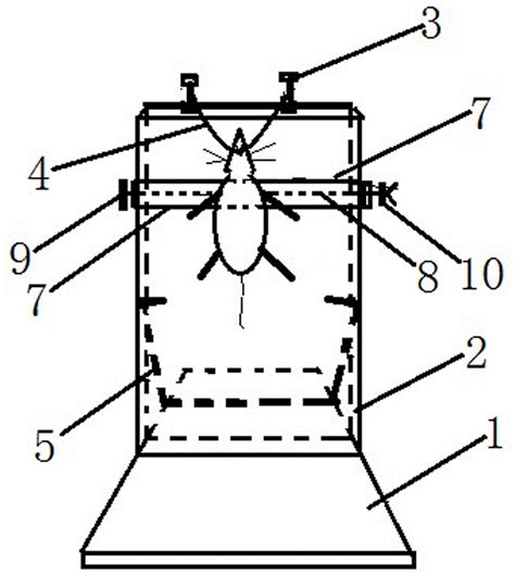 一种小鼠气管插管实验固定装置的制作方法