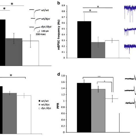 Whole Cell Recordings Of Prefrontal Cortical Neuron In Wtwt Wtdys