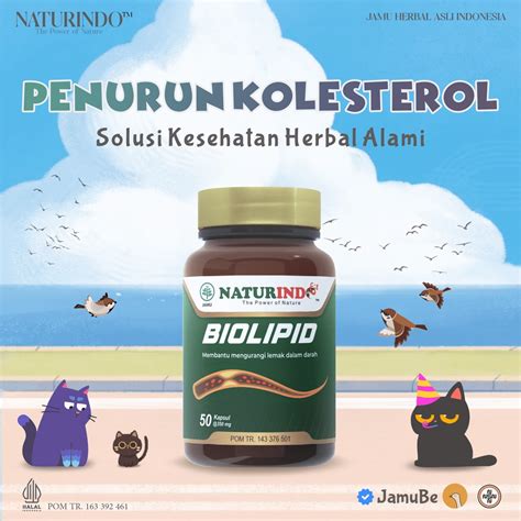 Jual Biolipid Herbal Untuk Menurunkan Kolestrol Tinggi Shopee Indonesia