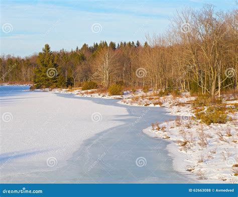 Icy Pond In The Woods At Sunset Stock Photo Image Of Snow Grass