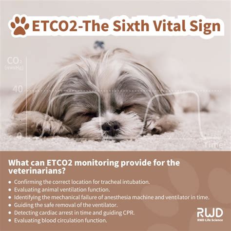Why monitor End-tidal Carbon Dioxide? - RWD Life Science