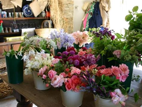 Many Different Types Of Flowers On A Table In A Room With Other Plants