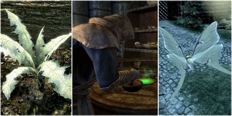 Skyrim: How To Make An Invisibility Potion