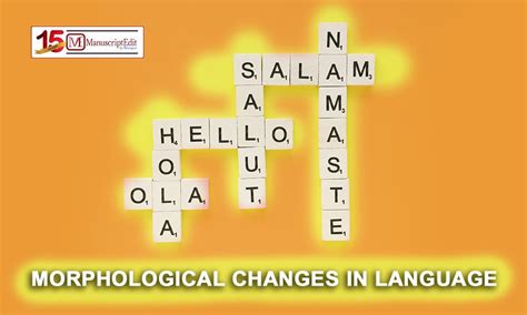 Morphological Changes In Language