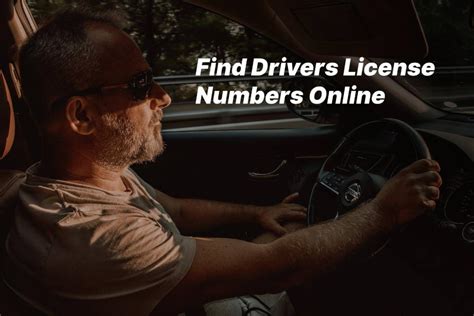how to find someone with driver license number