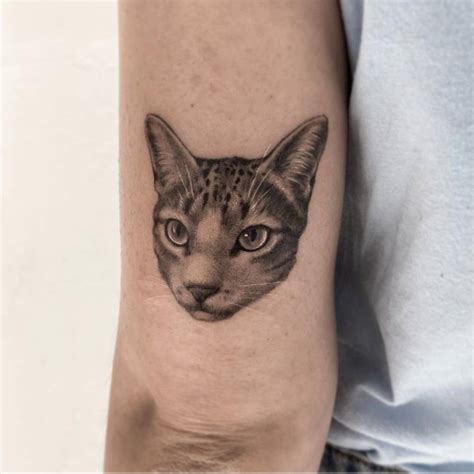 Micro Realistic Cat Portrait Tattoo On The Tricep