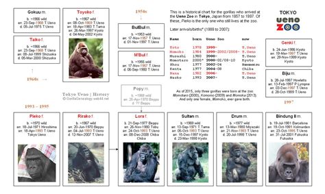 Gorillas Tokyo Ueno History This Is A Historical Chart Flickr