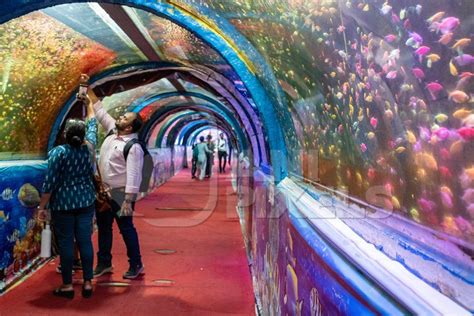 Many Fish In An Underwater Fish Tunnel Expo Aquarium In Pune